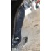 BAŞKAN TİC.MERCEDES A2043502214 DEFRANSİYEL 2043502214 -3.07 W204-207-212